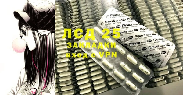 индика Богородицк