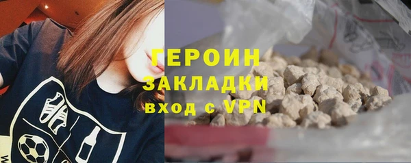 индика Богородицк