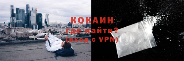 индика Богородицк
