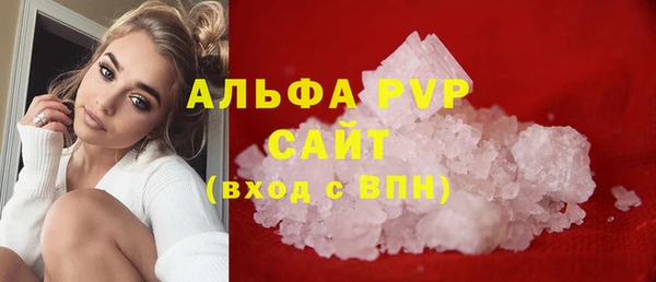 индика Богородицк
