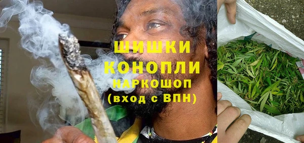 индика Богородицк