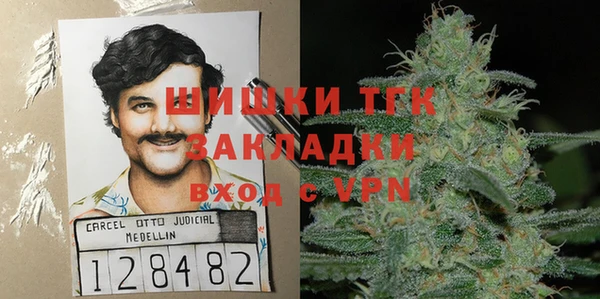 индика Богородицк