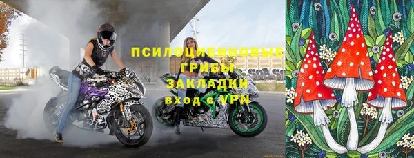 индика Богородицк