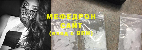 индика Богородицк