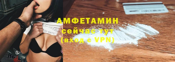 индика Богородицк