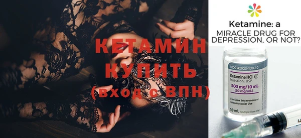 индика Богородицк