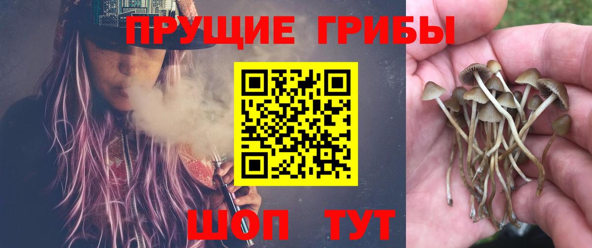 Гусев  Галлюциногенные грибы мухоморы  Галлюциногенные грибы мицелий  Вход с VPN 