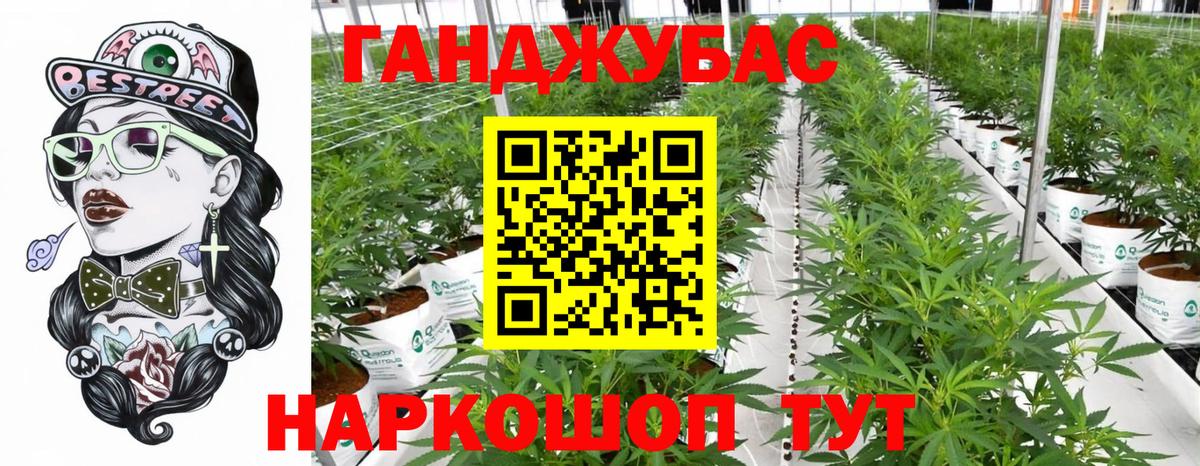 Бошки Шишки Amnesia  Вход с VPN  Каннабис конопля  Канабис сатива  Гусев 